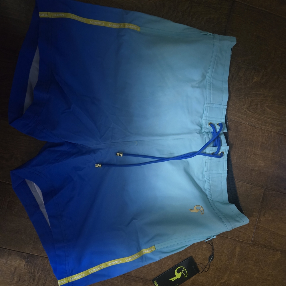 Gradient Blue Men's Board Shorts